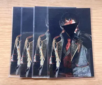 초코라비 마이타케 트레이딩 카드 폴라로이드풍 카드