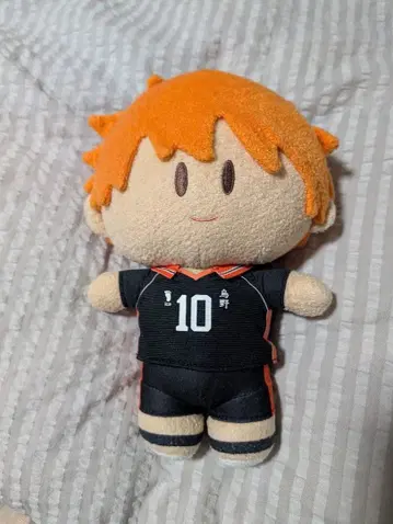 요리누이 하이큐 히나타 쇼요