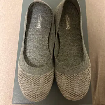 allbirds 플랫슈즈