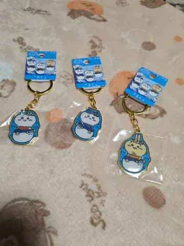 치이카와 (먼작귀) 지역 특색 복장 키링 3개 세트