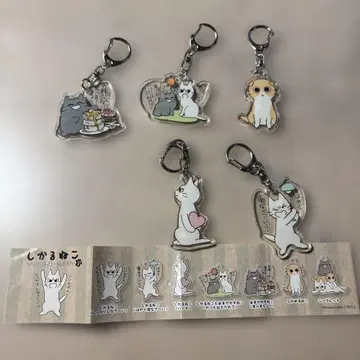 시카루네코 아크릴 키링 5개 세트