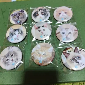 catcafemoff 이온몰 하마마츠시토로 가챠가챠 캔뱃지