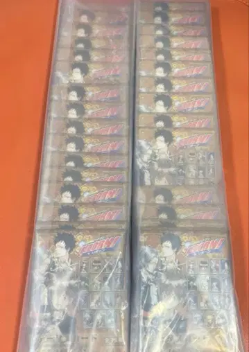 가정교사REBORN 스탯 카드 컬렉션 15종 컴플리트 2세트