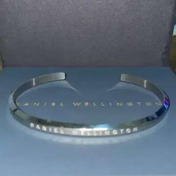 Danielle Wellington 팔찌