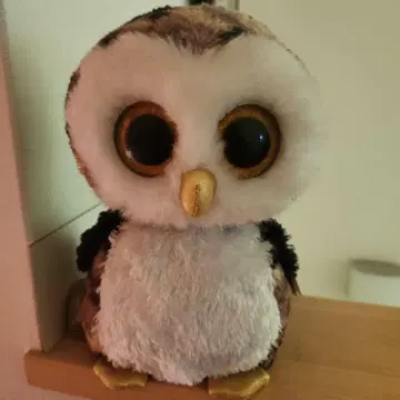ty Owliver 올빼미 봉제 인형