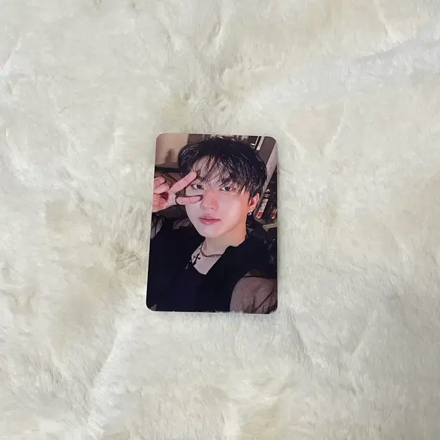 창빈 포카 두잇 앨범 Do 한정반 앨포 스트레이키즈 스키즈