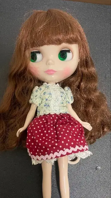 브라이스 디디 유리카