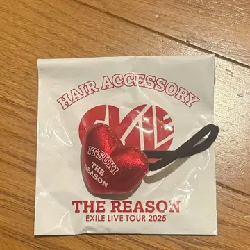 EXILE THE REASON 머리끈 후지와라 이츠키