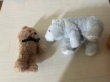 곰 봉제 인형 세트