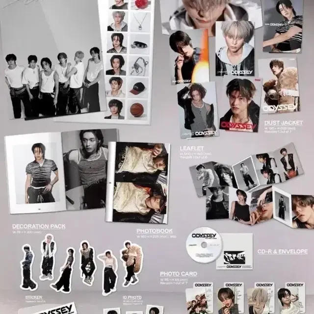 라이즈 오디세이 포토북 버전 미개봉 앨범 20장 일괄 판매