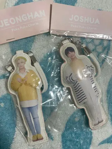 SEVENTEEN 팬미팅 정한 조슈아 키링