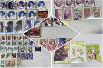 프로세카 묶음 판매 레오니