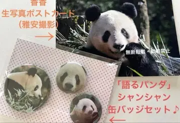 샹샹 [말하는 팬더] 캔뱃지 3개 세트 야안 브로마이드 엽서 포함