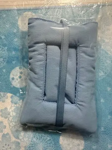 IS:SUE REBORN 카드 케이스 IS:SUE IS COMING