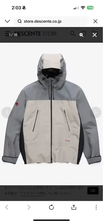 DESCENTE x JJJJound 하드쉘 후드티 XL