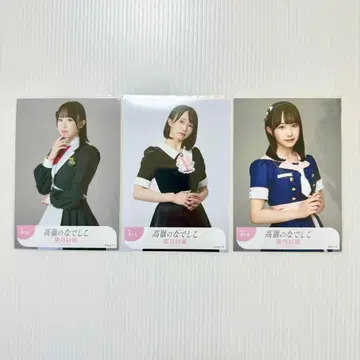 하즈키 사라 Beginning 컴프 타카네노 나데시코 타카네코 브로마이드