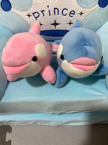 돌고래 봉제 인형 페어