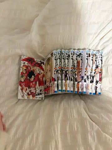 하이큐!! 다다단 코믹스 세트