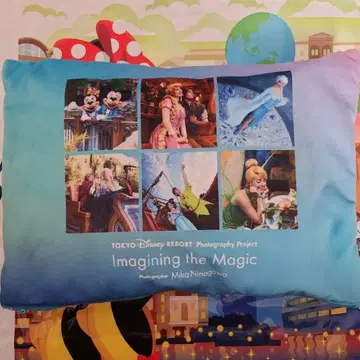 신상 디즈니 이매지닝 더 매직 판타지 스프링스 담요