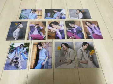 리얼 아키바 보이즈 espice 투시 12장 세트