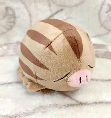 포켓몬 센터 fit 우림모 봉제 인형 2019