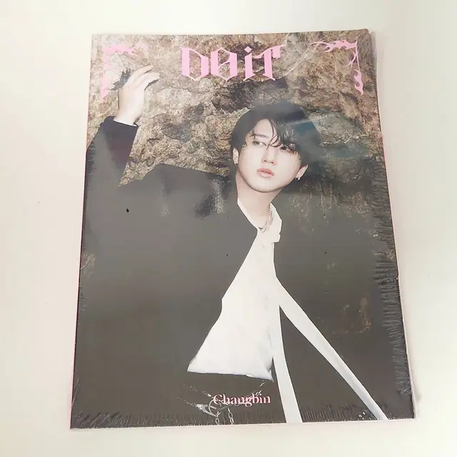 스키즈 아코디언 창빈 미개봉 두잇앨범 do it ACCORDION ver