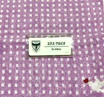 [ 즉시 구매 가능 ] 니지페스 2025 네임 배지 엑스 알비오