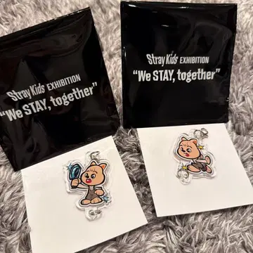 Stray Kids EXHIBITION 한 세트
