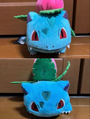 2체 세트 이상해풀 2017년제 택 포함