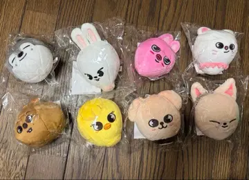 스트레이 키즈 5star 돔 투어 2023 백참 세트