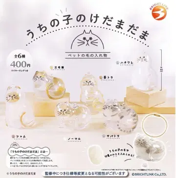 총 6종 풀 컴프 세트 우리 아이 털뭉치 가챠 고양이 고양이 고양이