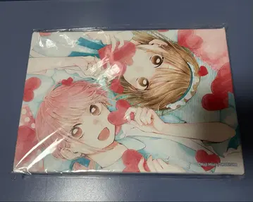 푸른상자 풀컬러 아트 보드 시카노 치나츠 쵸노 히나