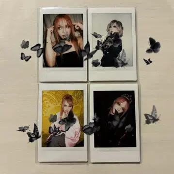 JILUKA SENA 폴라로이드 세트