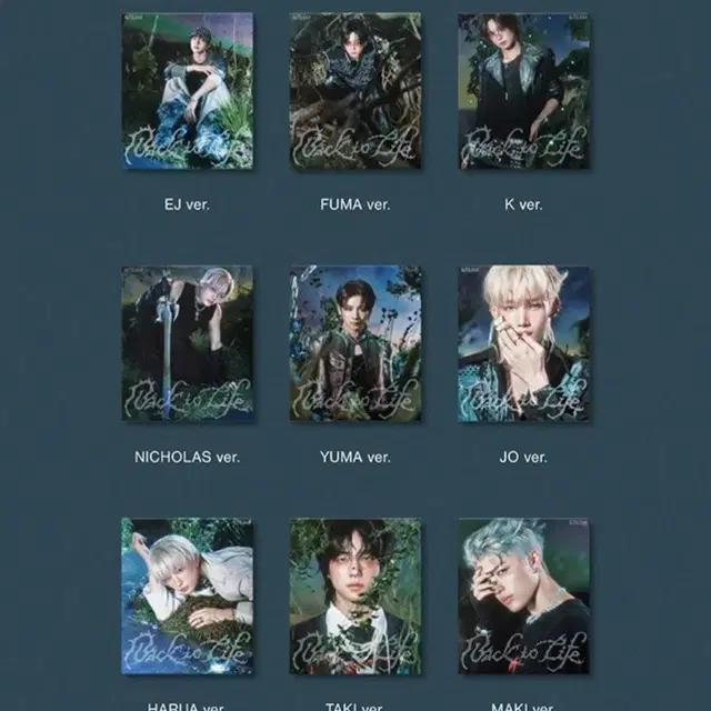 앤팀 백투라 back to life roar 미개봉 앨범