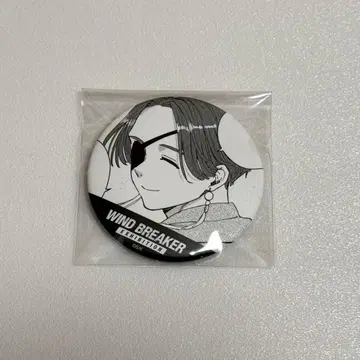 WIND BREAKER 윈브레전 캔뱃지 스오우
