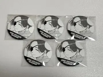 WIND BREAKER 윈브레전 캔뱃지 스오우