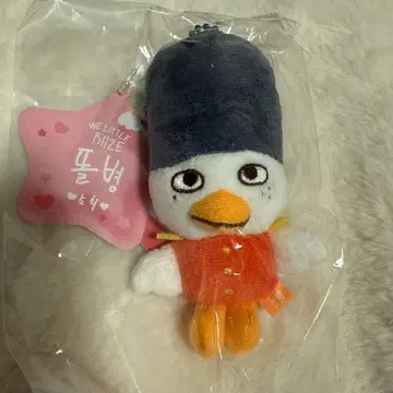 소희 돌변 RIIZE PARK 8cm 키링