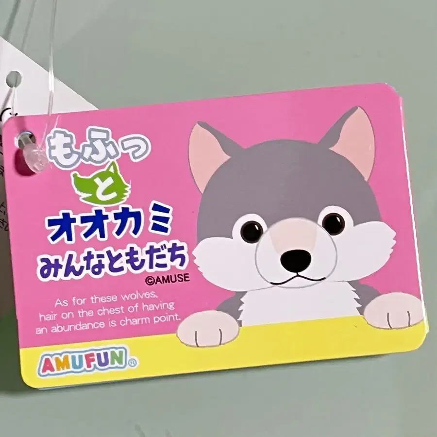 6번째 상품 이미지