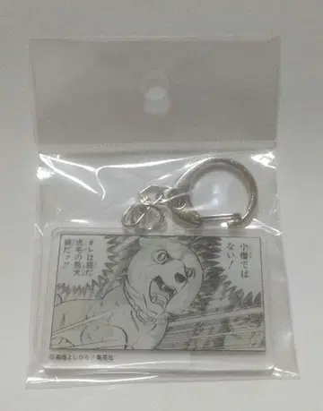 [ 미개봉 ] 은아 별똥별 은 히토코마 아크릴 키링