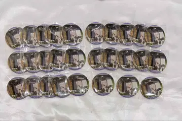 닌타마 란타로 후와 라이조 캔뱃지