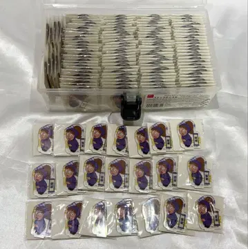 닌타마 란타로 아크릴 미니 후와 라이조