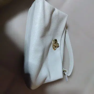 아슈엘렌 세레모니 백