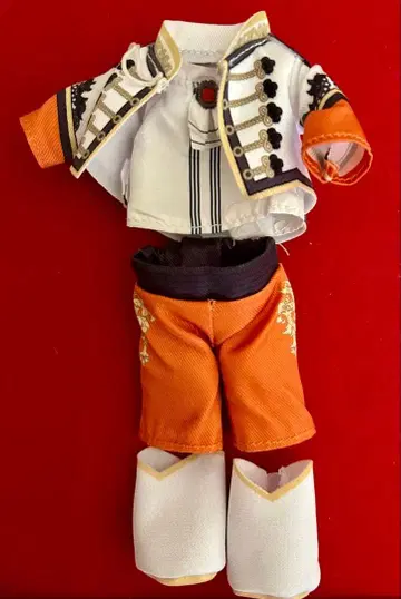 옷 갈아입기 의류 오렌지와 화이트 의상