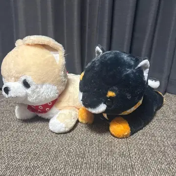 콩시바 삼형제 빅 사이즈 2점 세트