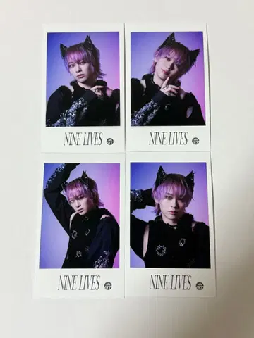 초특급 NINE LIVES REAL? 미니 사진 슈야 세미 컴프