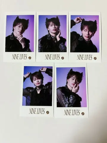 초특급 마사히로 미니 사진 NINE LIVES Real? 브로마이드 컴프