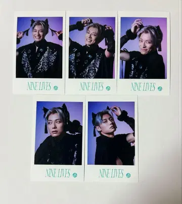 초특급 NINE LIVES 미니 사진 알로하 컴프