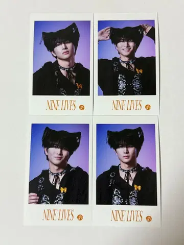 초특급 하루 미니 사진 세미컴프