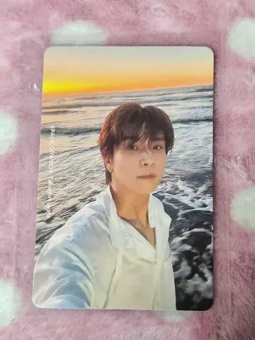 이와타 타카노리 트레이딩 카드