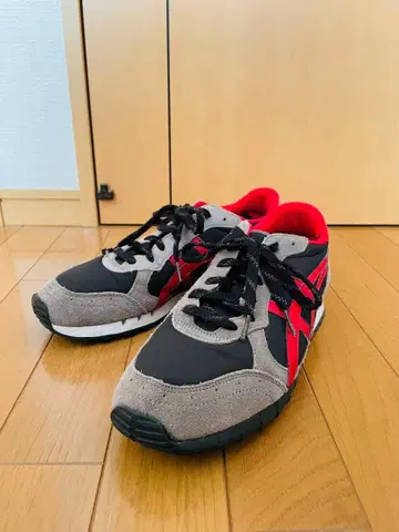 오니츠카타이거 28cm